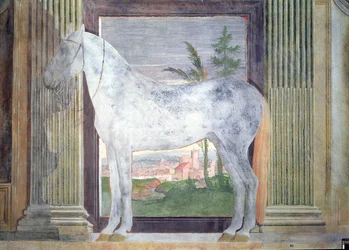Sala dei Cavalli, yksityiskohta, jossa on Mantovan Ludovico Gonzaga III:n tallien harmaan hevosen muotokuva, 1528